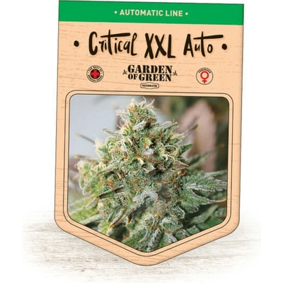 Garden Of Green Seedbank Critical XXL Auto semienka neobsahujú THC 15 ks
