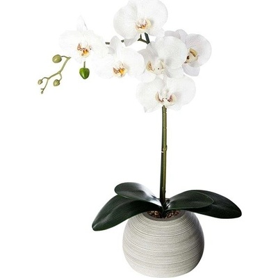 ATMOSPHERA Orchidee Real Touch Cim H.53