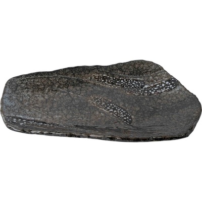 Jídelní talíř SHIRANAMI 27 x 17 cm, černá, keramika, MIJ