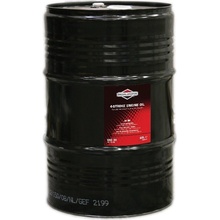 Briggs & Stratton SAE 30 60 l