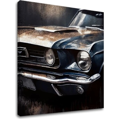 Designový obraz na plátně Galloping American Dream - 50x50 cm