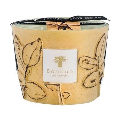 Baobab Collection Folia Garrigue Ароматна свещ 10 см (MAX10FGAR)