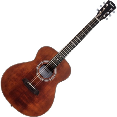 Pasadena PT-200 Vintage Фолк китара