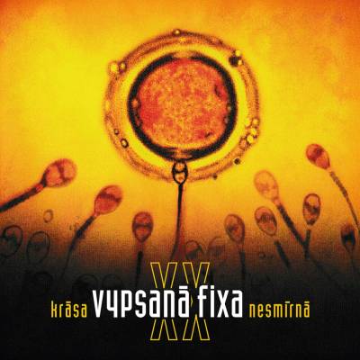 Krása nesmírná Vypsaná Fixa CD
