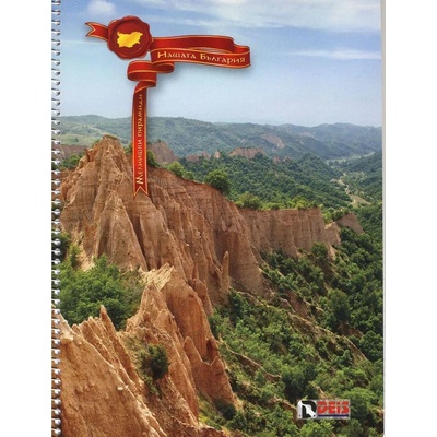 DEIS Тетрадка a5 100л. офсет Спирала