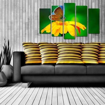 Art gift Декоративен панел за стена Пеперуда върху цвят