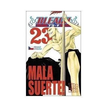 Bleach 23: Mala suerte!