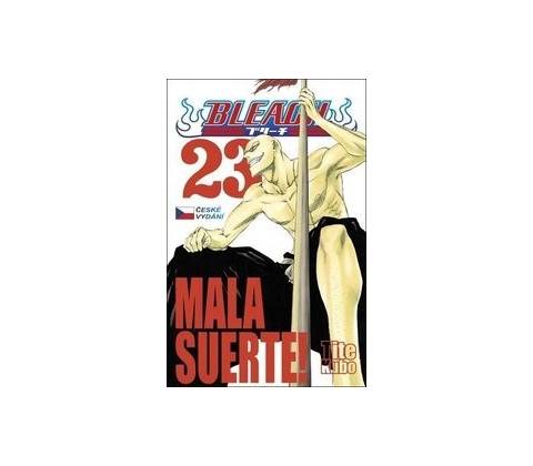 Bleach 23: Mala suerte!