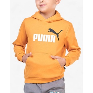 PUMA Essentials+ 2 Color Big Logo Hoodie Orange - magazinko