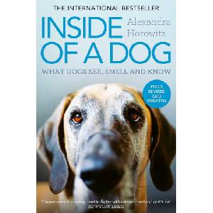 Inside of a Dog (2025)