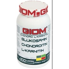 GIOM ERA Chondro L-karnitin 400 g