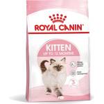 Royal Canin Kitten гранули за котенца във втората им фаза на растеж 400 g