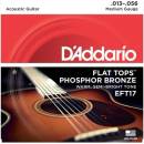 DAddario EFT17