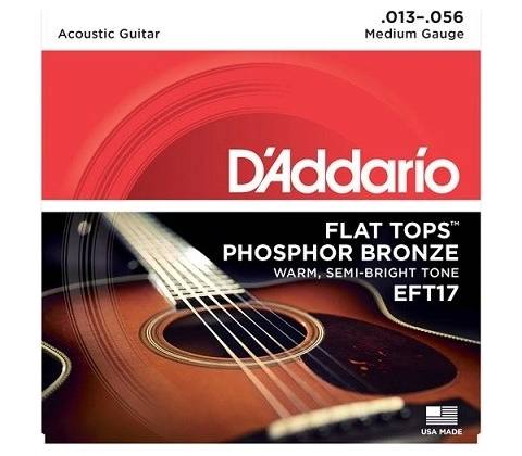 DAddario EFT17