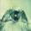 Porcupine Tree - Stupid Dream (2 LP) (802644821214)