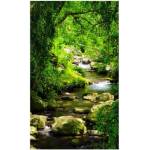 DIMEX ART Флизелинов фототапет планински поток 150 x 250 см
