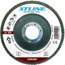 Stavtool Kotouč brusný lamelový 125 mm 100 BS125100