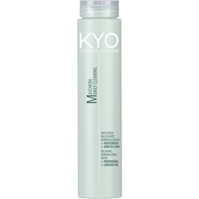 FreeLimix KYO Mask Cleance System 250 ml