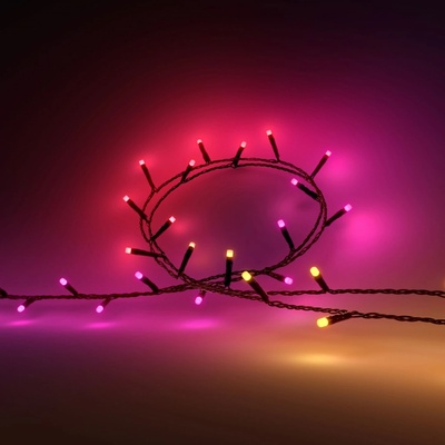 8720169246867 PHILIPS HUE White and Color Ambiance Festavia string lights vánoční světelný řetěz 500 LED 2x20m 2000-6500K+RGB IP44 IP54 černý
