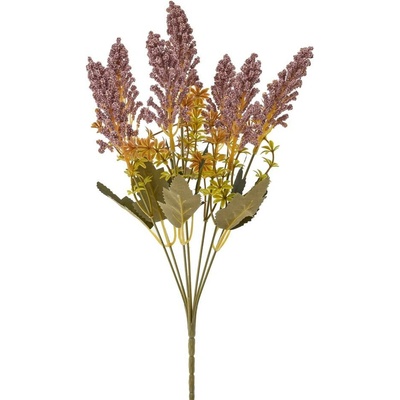ZELEŇ VRES FIALOVÝ 36CM