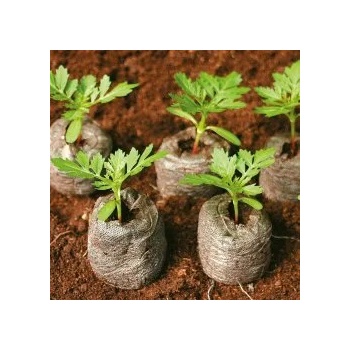 Image 1 of Seklos Кокосови шайби