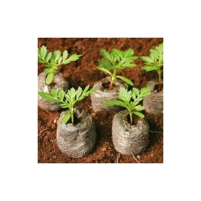 Seklos Кокосови шайби