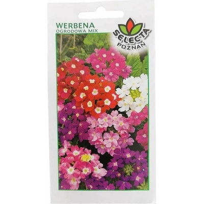 Verbena záhradná mix Železník : Verbena hybrida 0,7 g