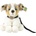 Rappa Плюшена играчка Rappa Еко приятели - Австралийска овчарка, 28 cm (230071)