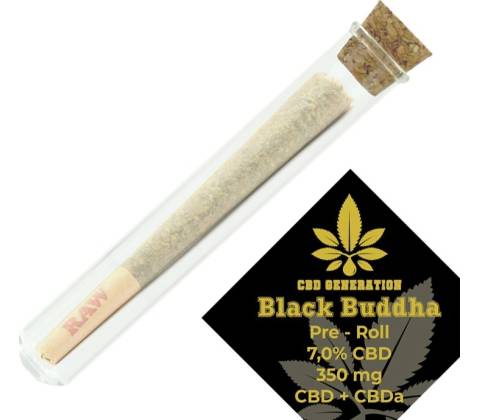 CBD Preroll - Black Buddha 7% CBD