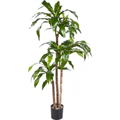 Umělá palma Dracena FRAGRANS deluxe, 120cm