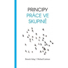 Principy Prace Ve Skupině