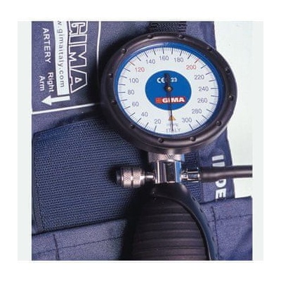 Gima Roma Aneroid Palm