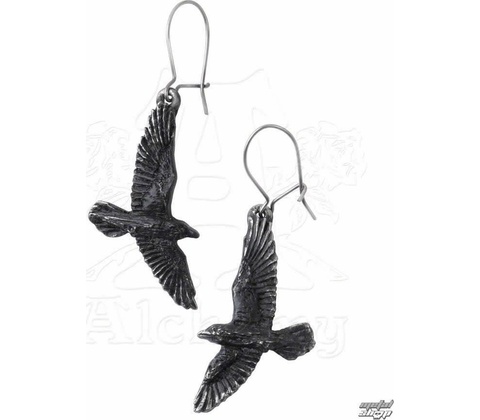 Alchemy Gothic Black Raven E333