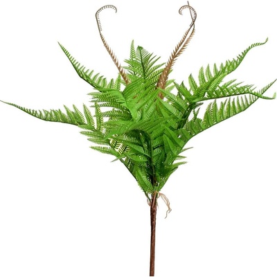 ZÁPICH PAPRAĎ S HNEDÝMI VÝHONKAMI 50CM