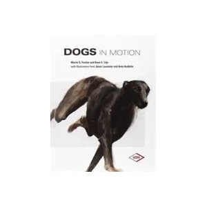 Dogs in Motion | Fischer (ISBN: 9783981433906)