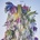 Wilco: Cousin: CD