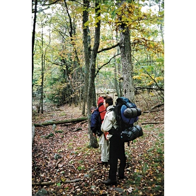 EuroSchirm Swing Liteflex здрав и неразрушим чадър, зелен (130610)