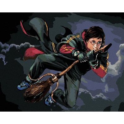 Zuty Harry potter na koštěti 40 x 50 cm bez rámu a bez vypnutí plátna 8596530132240