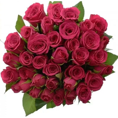 Kytice 35 růžových růží FUCHSIANA 70cm