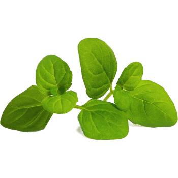 VÉritable (Франция) Пълнител (лингот) Icy Mint Organic за настолна градина Véritable® - ледена мента (VLIN-A10-Men04B)