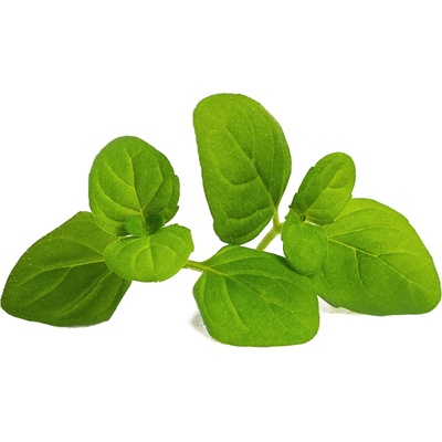 VÉritable (Франция) Пълнител (лингот) Icy Mint Organic за настолна градина Véritable® - ледена мента (VLIN-A10-Men04B)