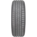 Goodyear EfficientGrip Performance 225/55 R17 101W