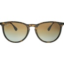 Ray-Ban RB4171 710 T5