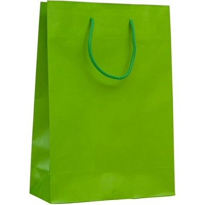 Darčeková papierová taška , light green, L