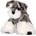 Амек Тойс Плюшена играчка Амек Тойс - Куче Шнауцер, 22 cm (10203)