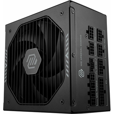 MSI MAG A1000GLS PCIE5 1000W 306-7ZPIX11-CE0