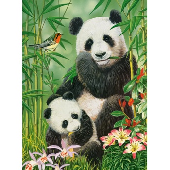 Castorland - Puzzle Panda Brunch - 1 000 piese