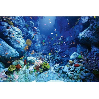 DIMEX ART s. r. o Флизелинов фототапет морски свят 375 x 250 см