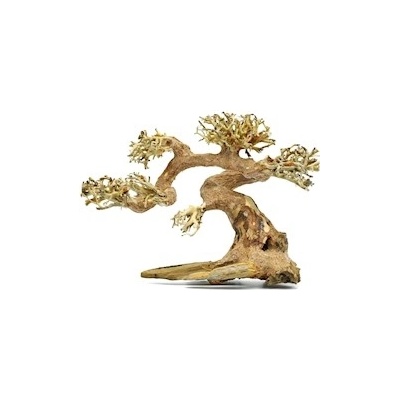 Macenauer Claw Bonsai XS 25x18 cm – Zboží Dáma