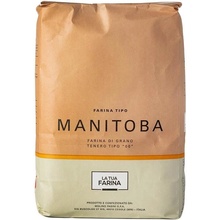 Molino Pasini Talianska Múka Manitoba 1 kg